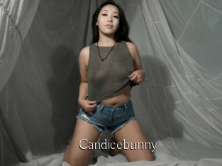 Candicebunny