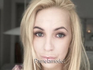 Pamelamodel